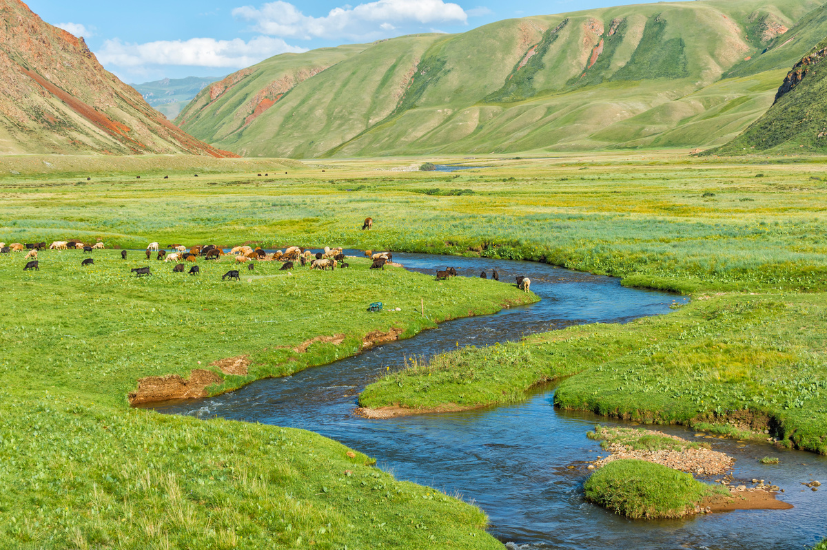 Le Associazioni di protezione ambientale lanciano un appello per la Tutela del Fiume Tavo