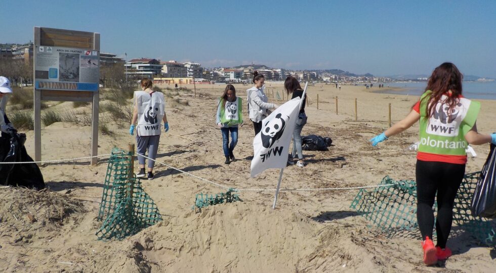 Pescara, un appuntamento per pulire a mano la spiaggia: l’iniziativa del WWF