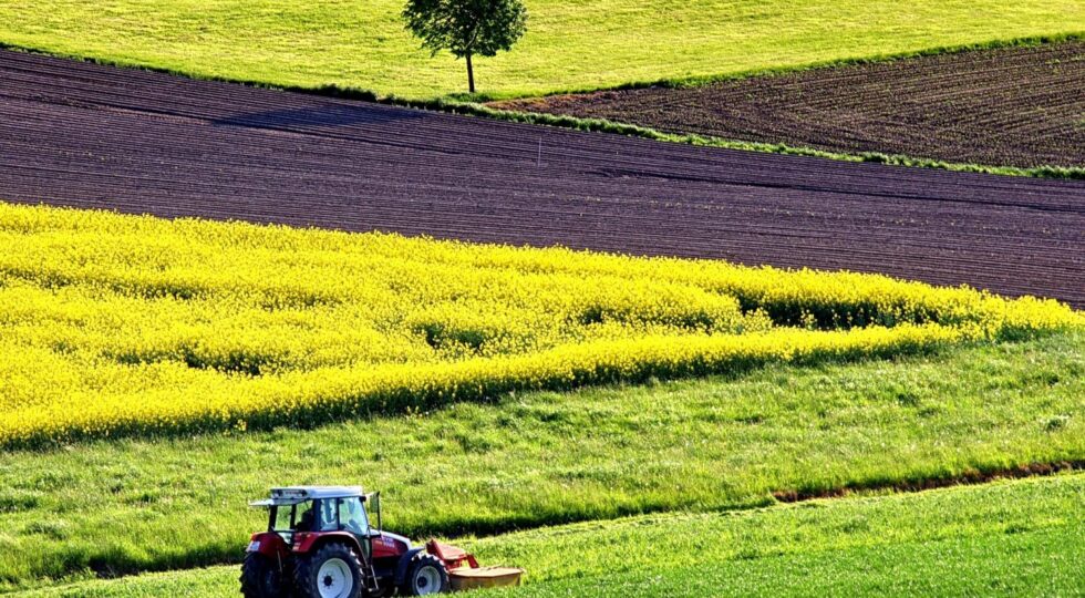 Aree rurali: nuovo bando per miglioramento servizi socio-sanitari, culturali e ricreativi