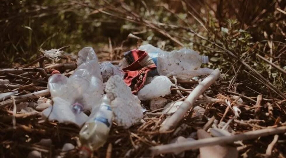 Ambiente e inclusione: a Montesilvano l’azione collettiva promossa da Plastic Free Onlus