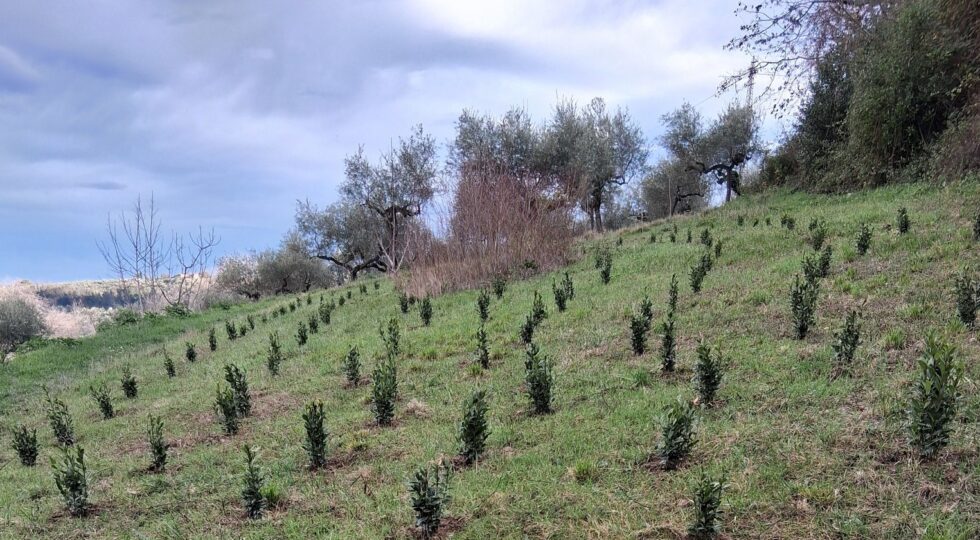 Parco regionale loreto aprutino