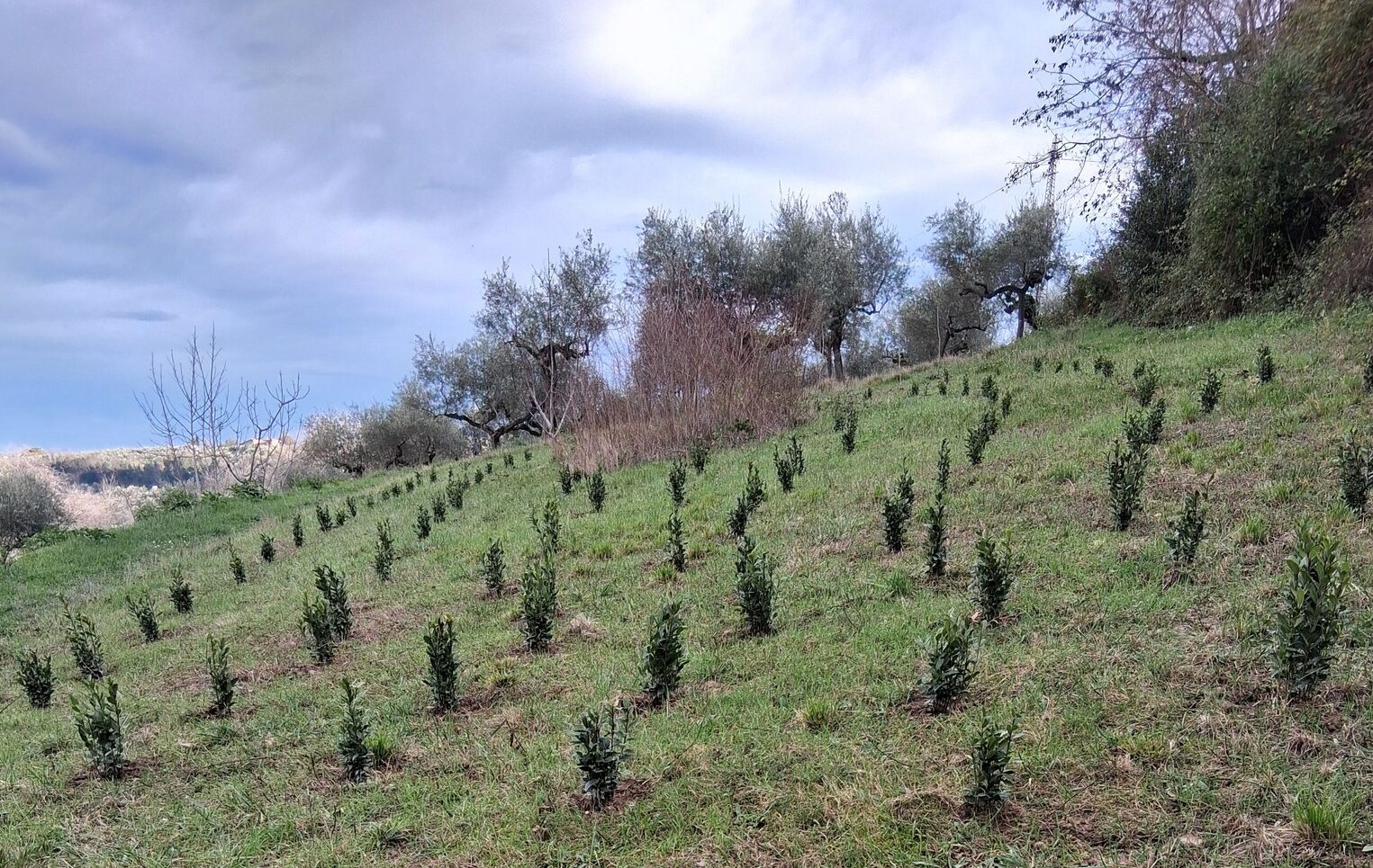 Parco regionale loreto aprutino