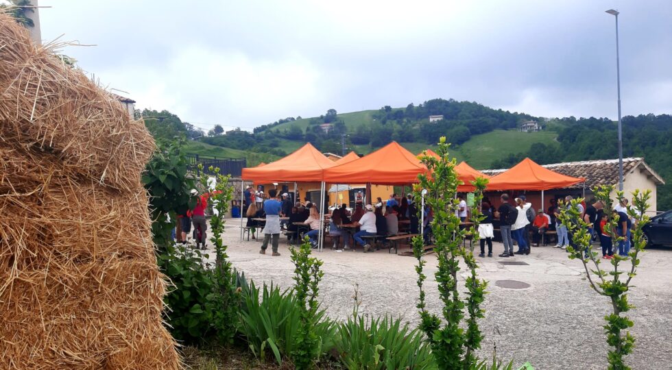 Le aziende della Laga fanno rete: “L’obiettivo è raggiungere tutti i produttori interessati”
