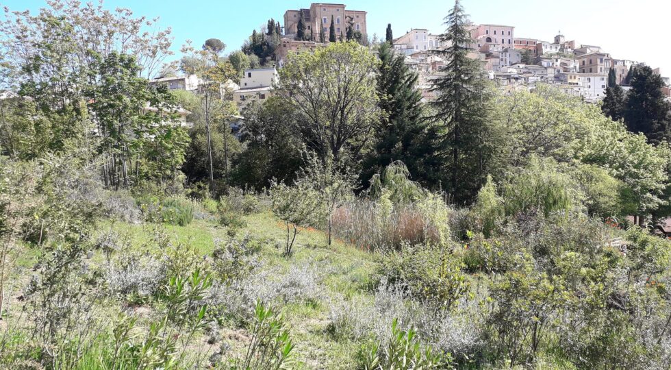 Passeggiate alla scoperta delle piante mediterranee nel Parco Lauretum: ecco quando