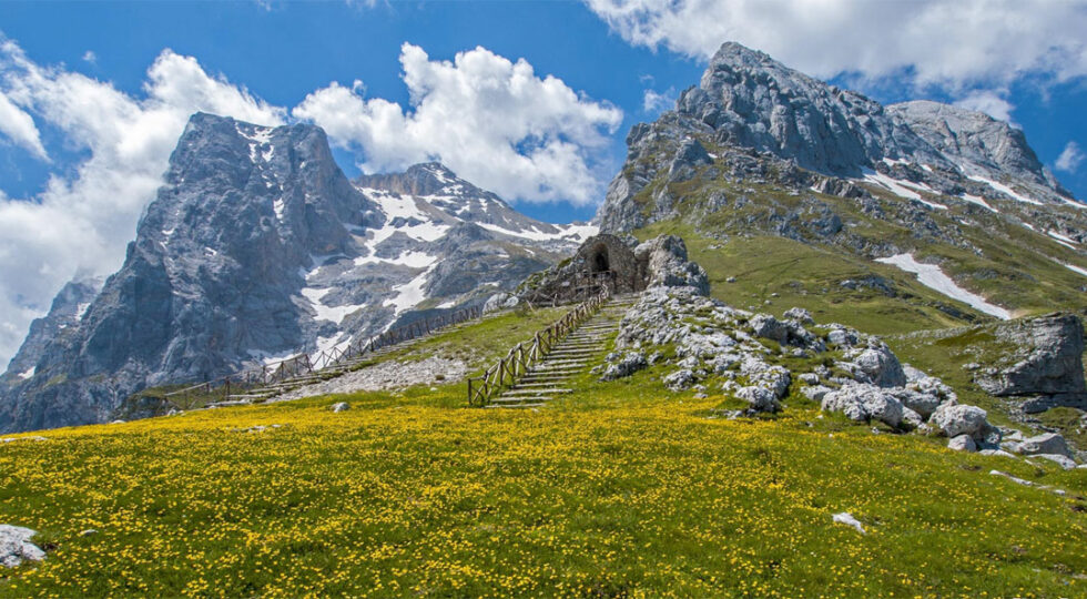 Danni causati da orsi, Regione rinnova convenzione con il Parco Nazionale