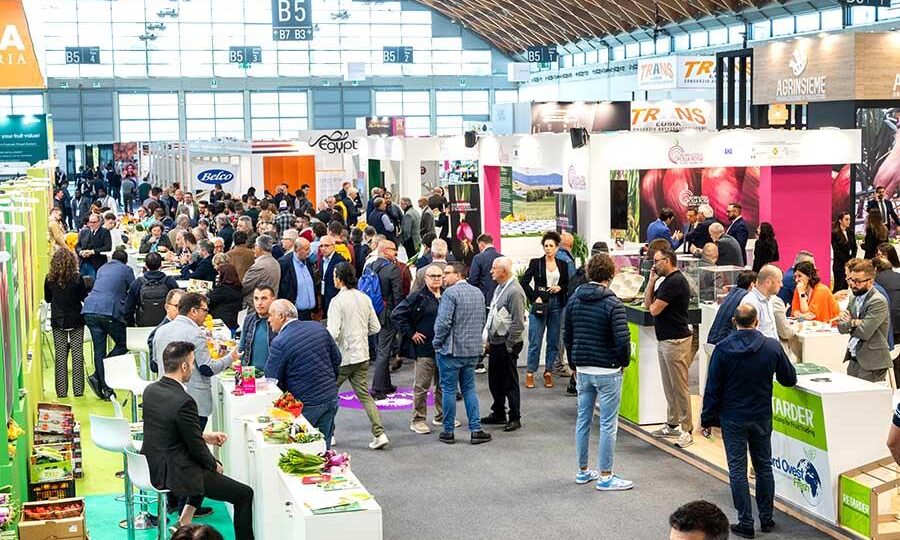 MACFRUT 2025, AMPP presente con la patata del Fucino IGP a Rimini