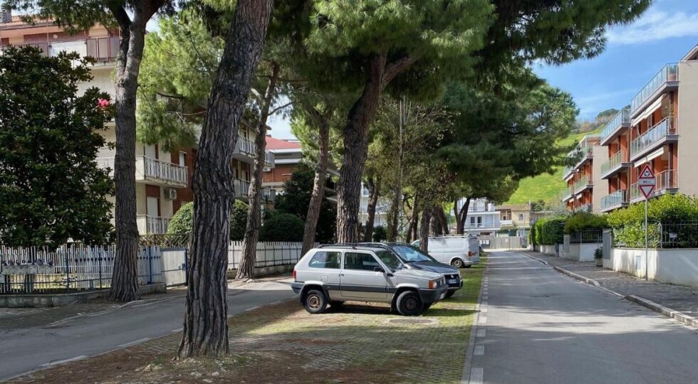 Il Cittadino Governante: “Gli alberi davanti al liceo scientifico non si toccano!”