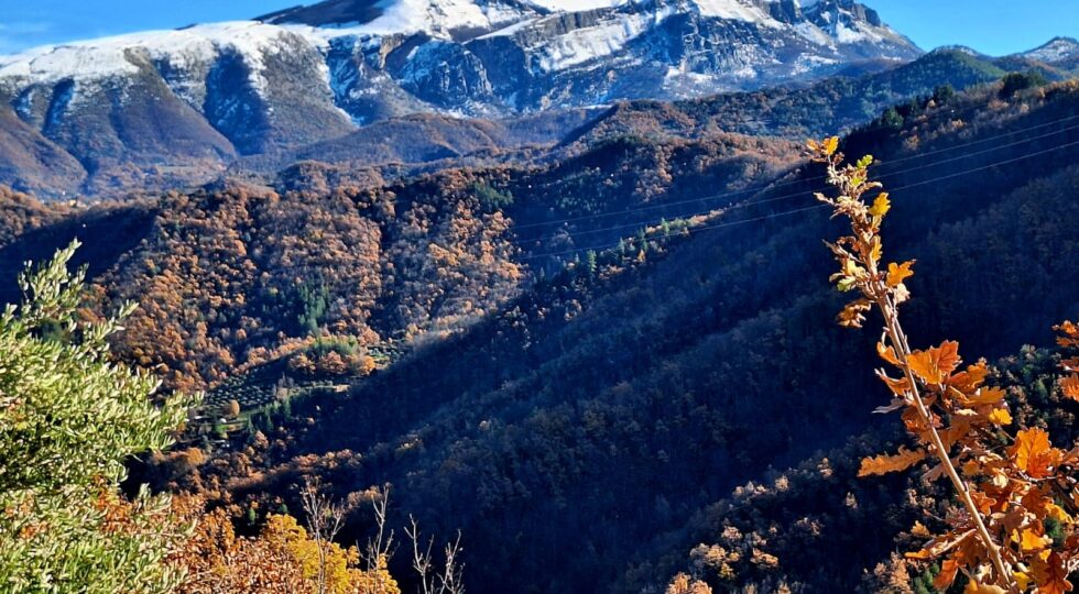 Il Festival culturale dei Borghi Rurali della Laga aderisce al progetto nazionale ARCE