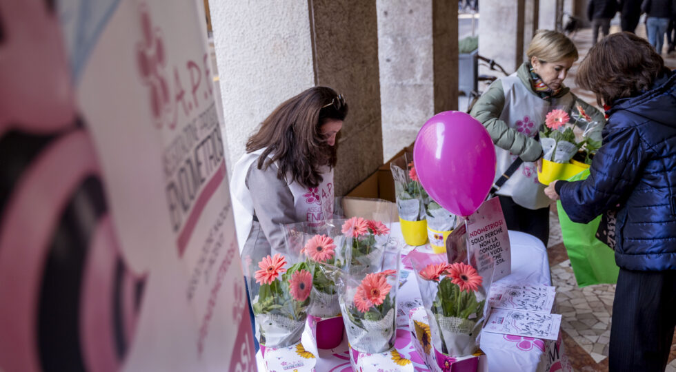 Endometriosi, L’Aquila è una delle 40 piazze italiane unite per la consapevolezza