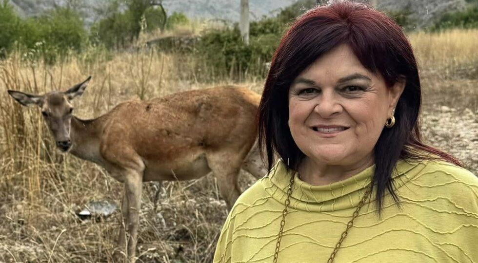 Lupi uccisi, Pezzopane, Mattanza nei parchi: l’Abruzzo tradisce se stesso