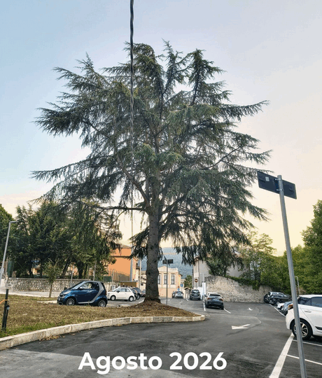 Parcheggio San Silvestro, CONALPA: «Salviamo gli alberi»