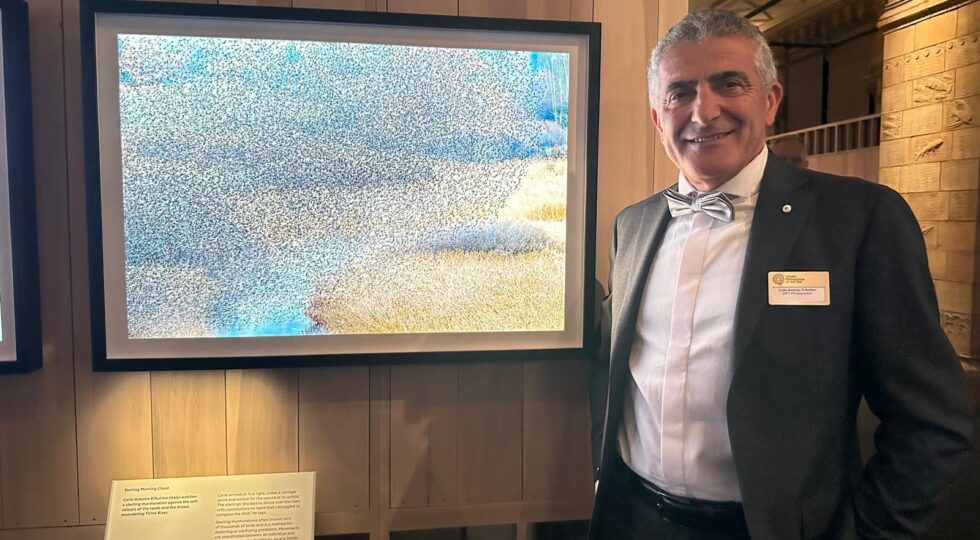 Carlo D’Aurizio tra i 100 vincitori del Wildlife Photographer of the Year 2026