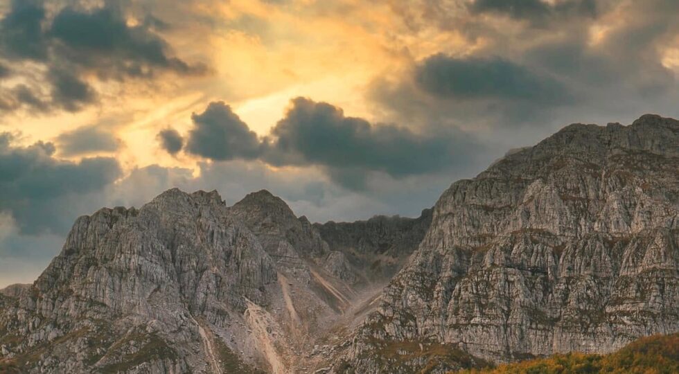 Diritti della Natura, parte la raccolta firme UE
